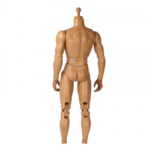 Product image 4 of the product “Viking 1/6 Strong Body ”