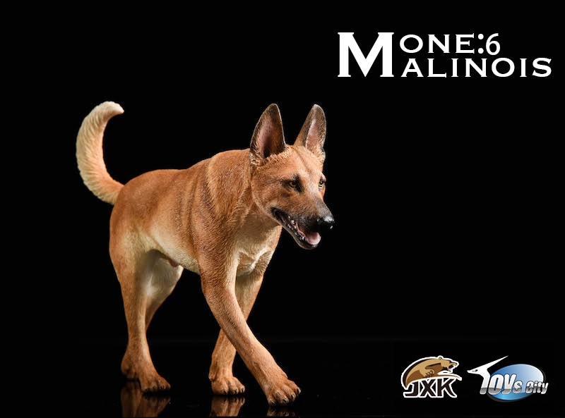  Artikelbild 4 des Artikels “Malinois (Beige) 1:6 “