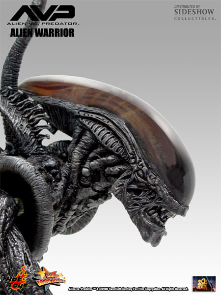  Artikelbild 4 des Artikels “sixth scale Alien Warrier 1/6 “