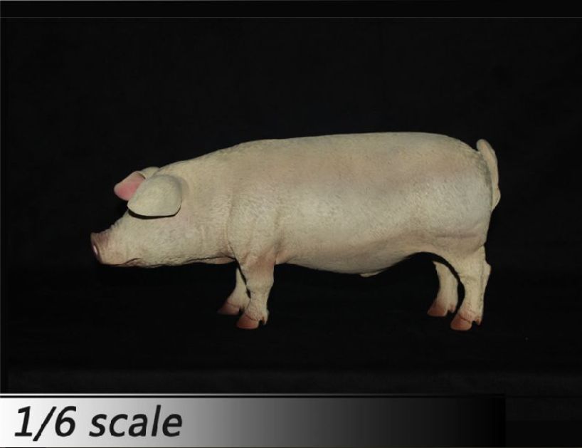 Artikelbild 4 des Artikels “Schwein  (Pink) 1/6 “