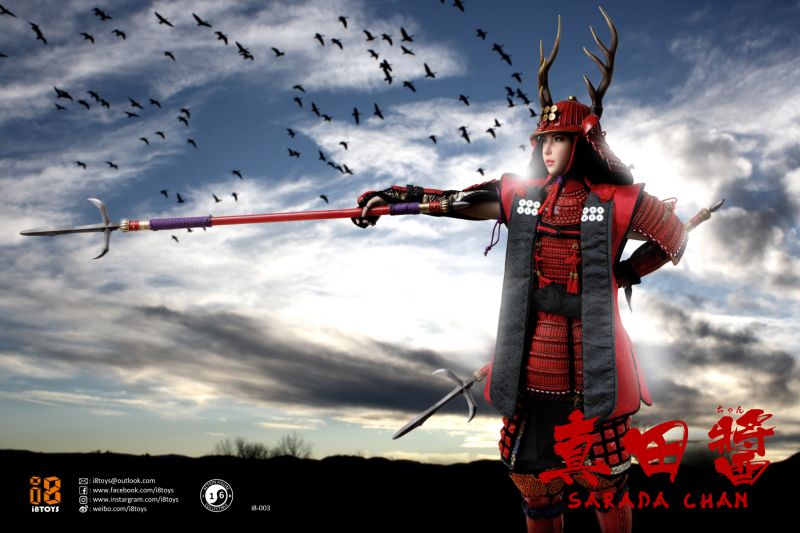  Product image 4 of the product “Sarada Chan 1/6 30cm Figur ”