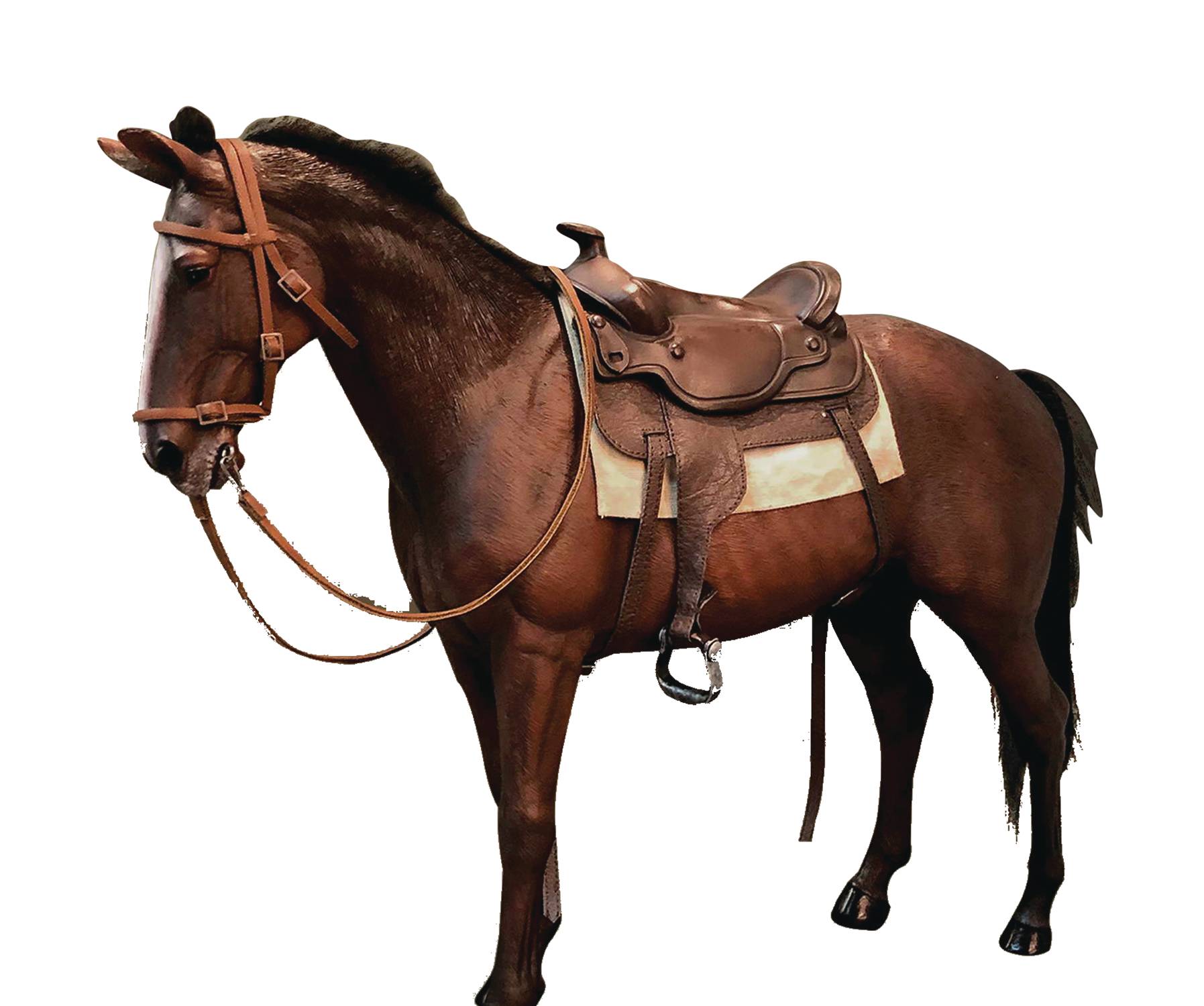  Product image 4 of the product “James Dean Horse Accessories Set (Marron) ”