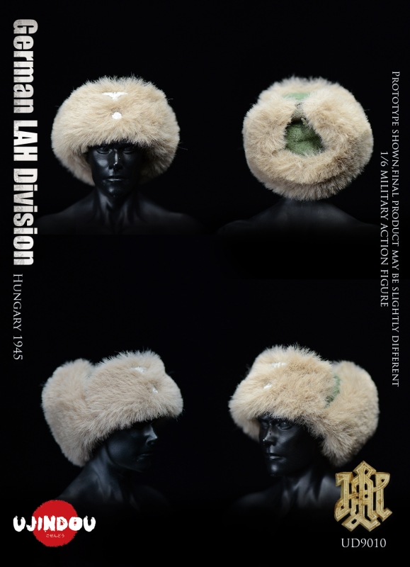  Artikelbild 4 des Artikels “German LAH Division WWII - Hungary 1945 1/6 “