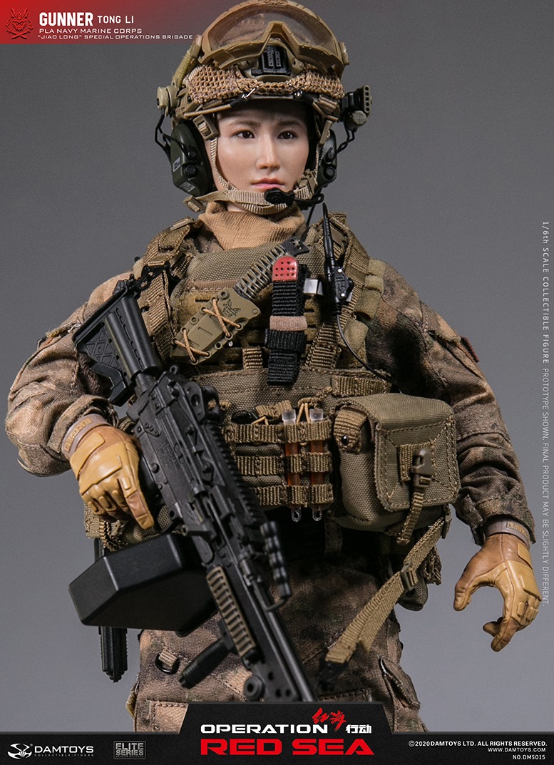  Product image 5 of the product “PLA Navy Marine Corps 