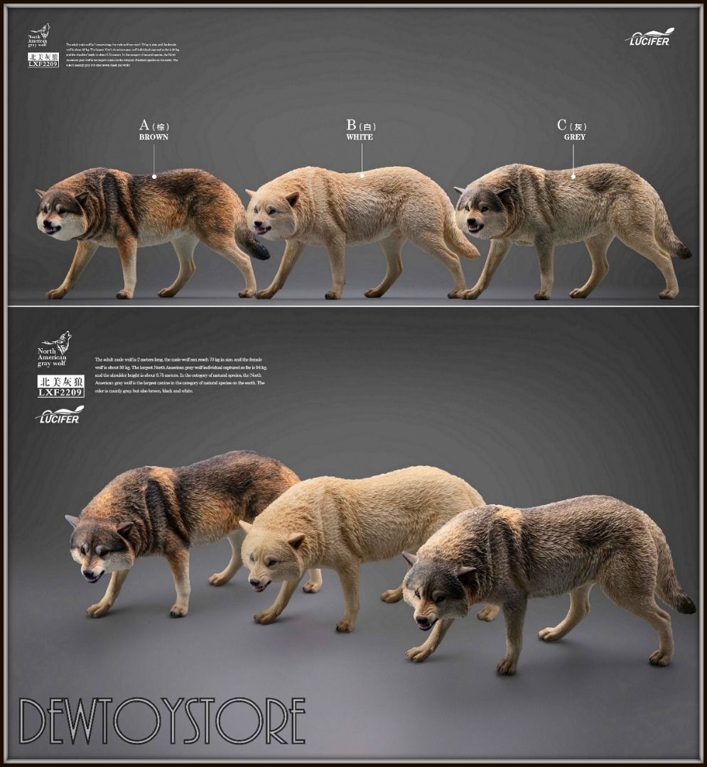  Artikelbild 5 des Artikels “1/6 Grauer Wolf “