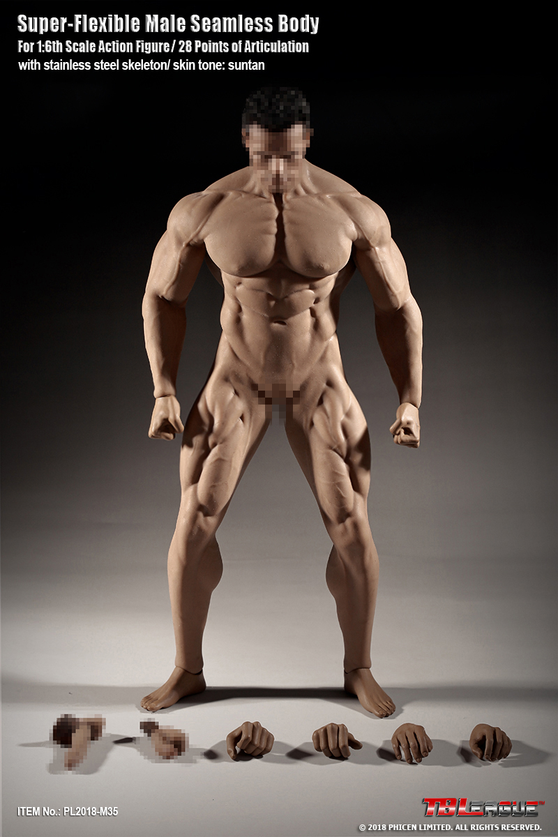  Product image 5 of the product “Seamless Ultra Muscle Body M35 1/6 ”
