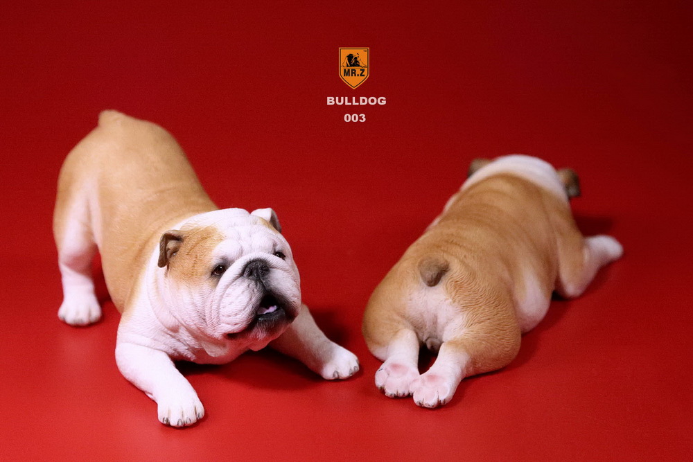  Artikelbild 5 des Artikels “British Bulldog Dogs Set (Beige) 1:6 “