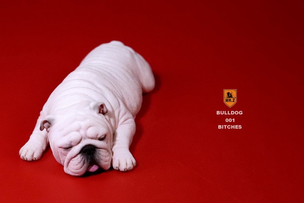  Artikelbild 5 des Artikels “British Bulldog Dogs Set (White) 1:6 “