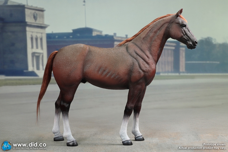  Product image 5 of the product “Anselm - WW II German - Brown WWII German War Horse (Standing)- in 1:6 ”