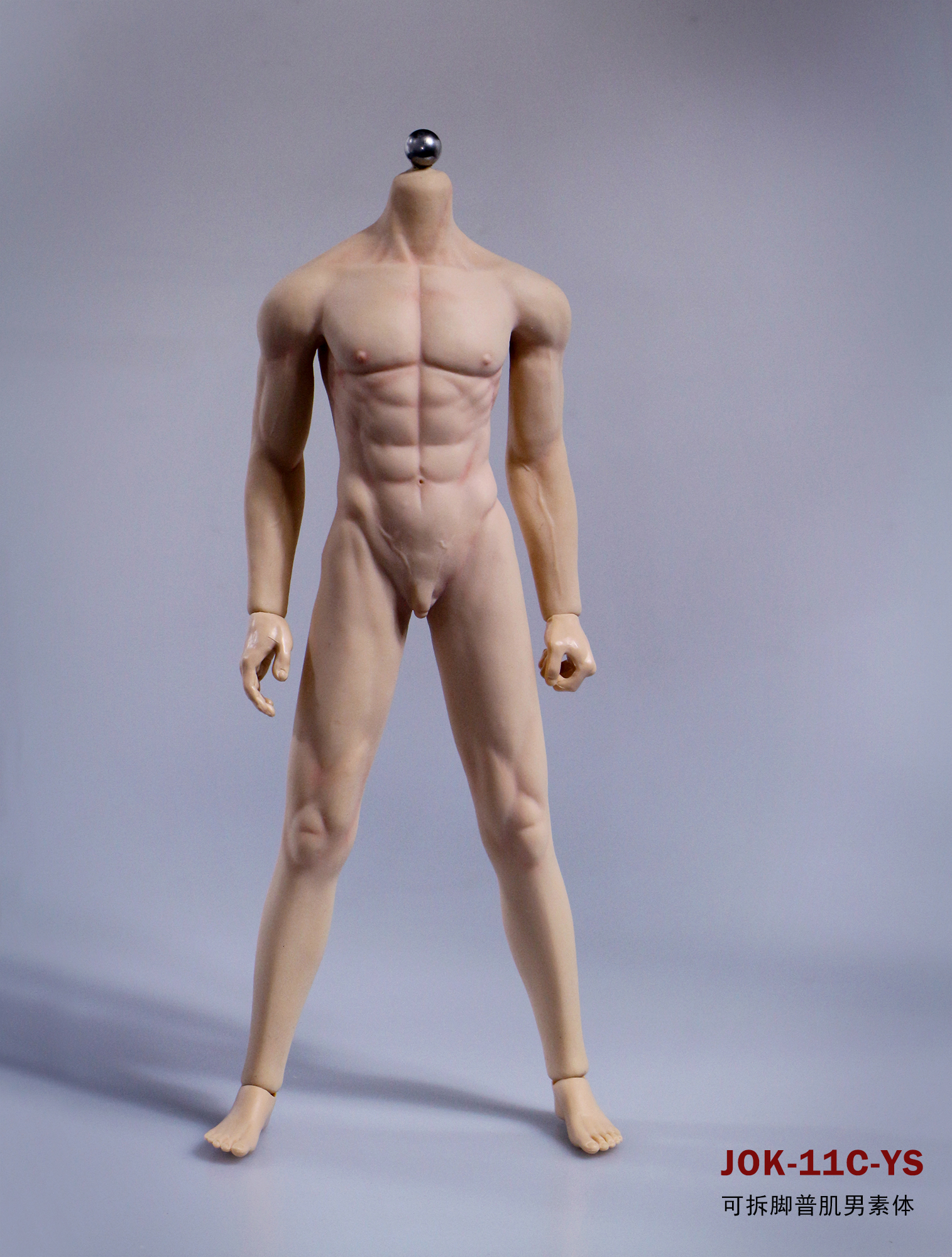  Artikelbild 5 des Artikels “Caucasian Seamless Male Body 1:6 “