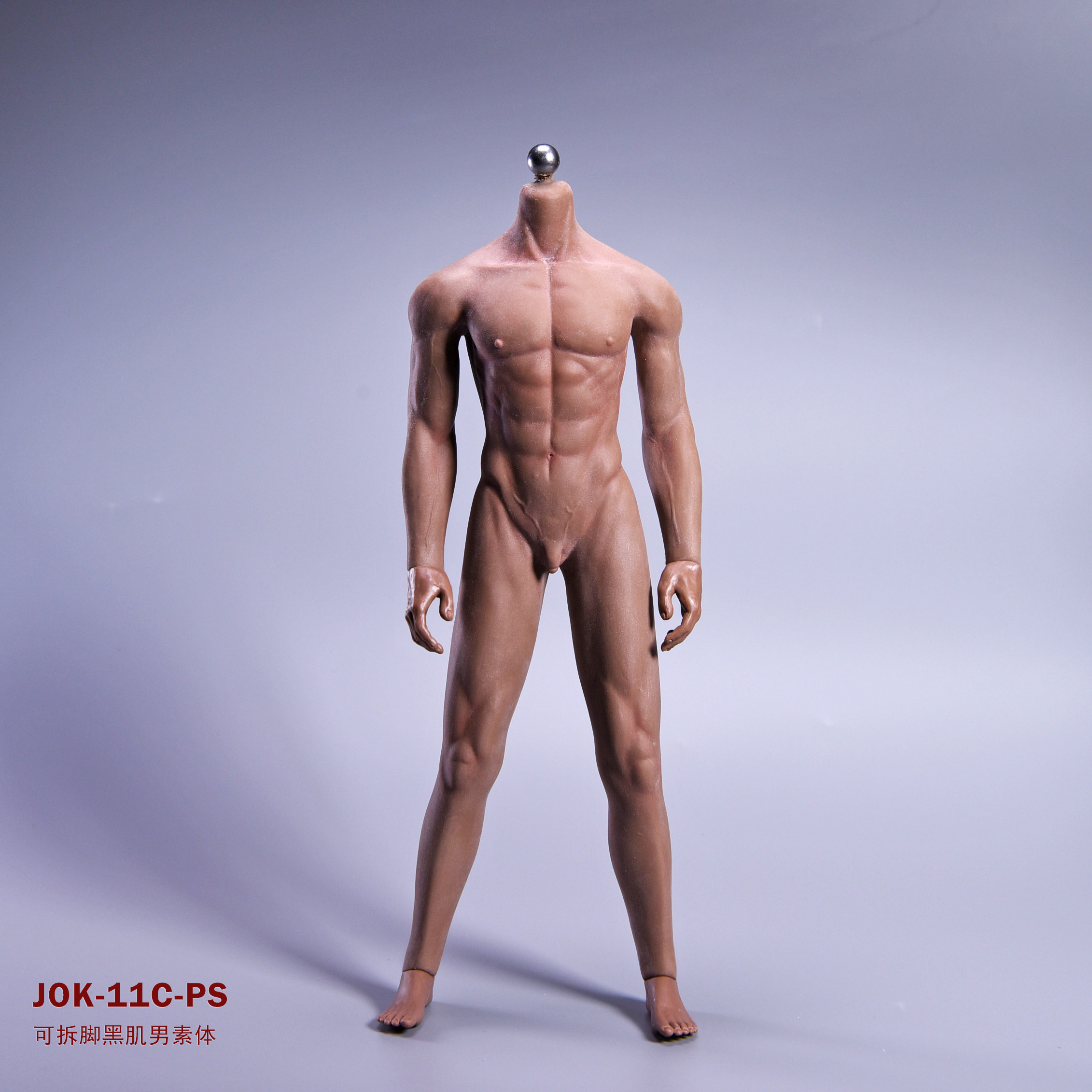  Artikelbild 5 des Artikels “African Seamless Male Body 1:6 “
