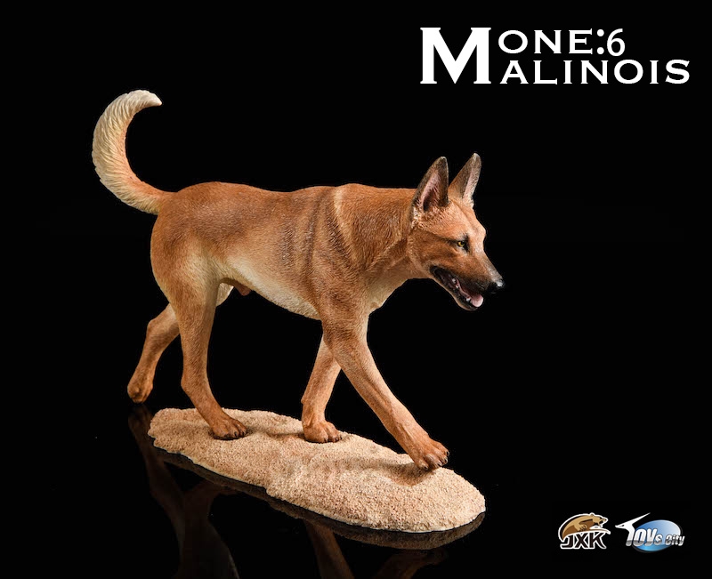  Artikelbild 5 des Artikels “Malinois (Beige) 1:6 “