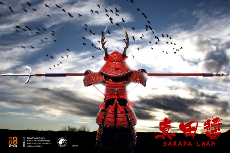  Product image 5 of the product “Sarada Chan 1/6 30cm Figur ”