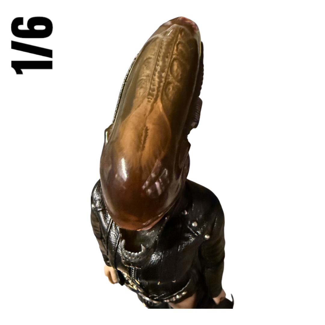  Product image 5 of the product “1/6 Female Casual Action Figure ”