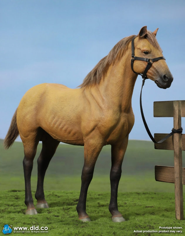  Artikelbild 5 des Artikels “US Civil War - Brown War Horse “