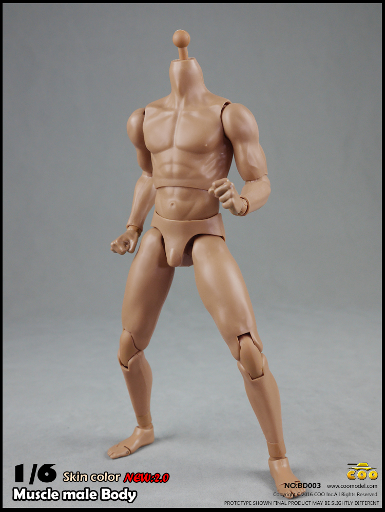  Product image 6 of the product “1/6 2.0 Long Neck male Body HIGH (narrow shoulders) ”