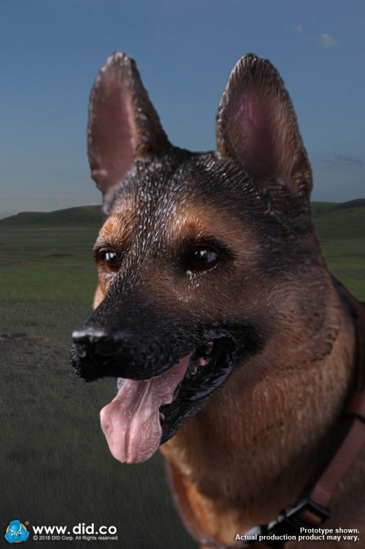  Artikelbild 6 des Artikels “Deutscher Schäferhund 1:6 “