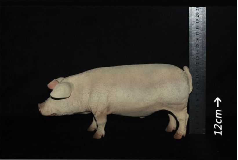  Artikelbild 6 des Artikels “Schwein  (Pink) 1/6 “