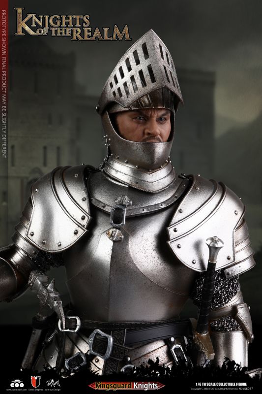  Product image 6 of the product “Series Of Empires - Knight Of The Realm Kingsguard ”