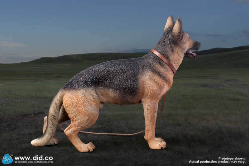  Artikelbild 7 des Artikels “Deutscher Schäferhund 1:6 “