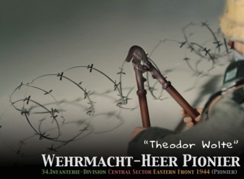  Artikelbild 7 des Artikels “Theodor Wolte Pionier “