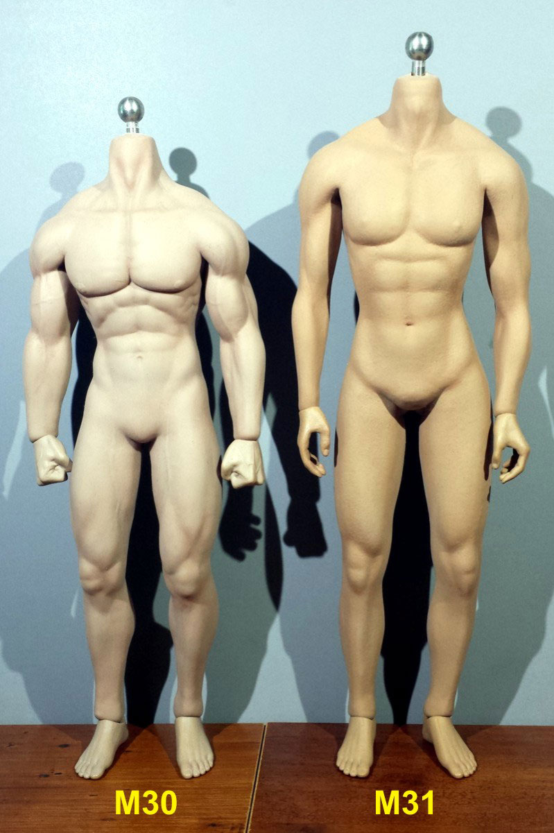  Product image 7 of the product “Phicen Body Male ”