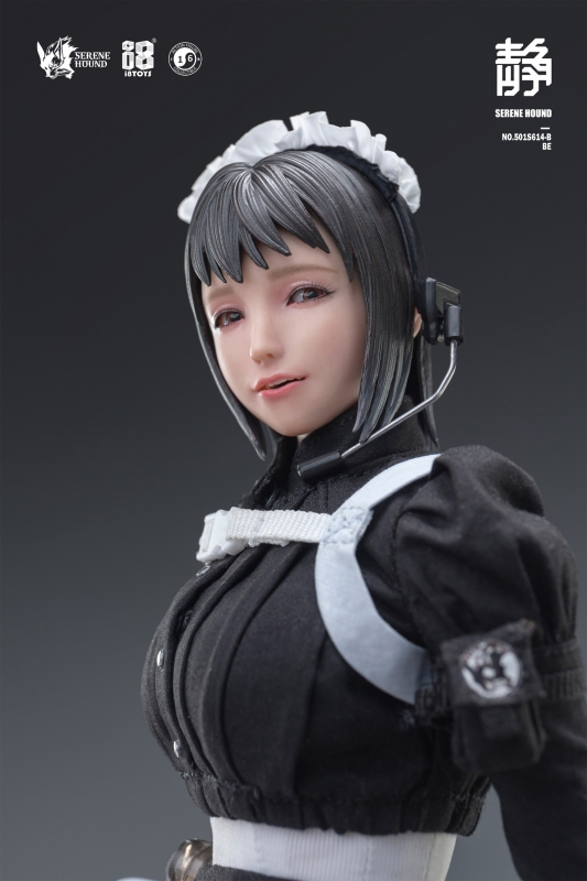  Product image 7 of the product “Serene Hound Troop - BE 1/6 (Plus move eyeball) ”