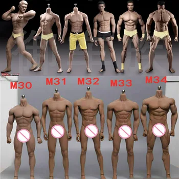  Product image 8 of the product “Phicen Body Male ”