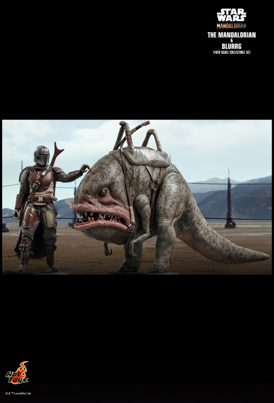  Artikelbild 8 des Artikels “Star Wars: The Mandalorian - Mandalorian & Blurrg - 1/6th scale “